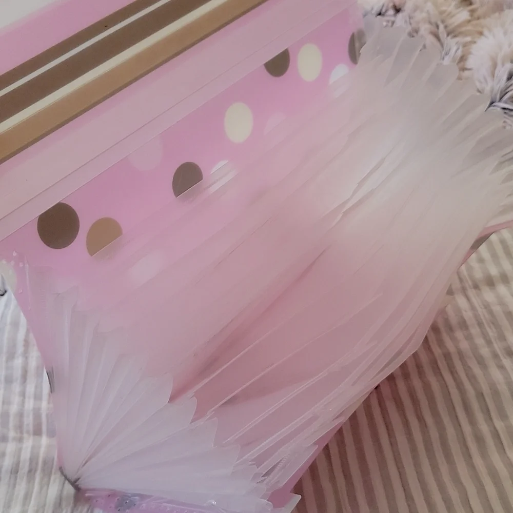Portable Tabbed File